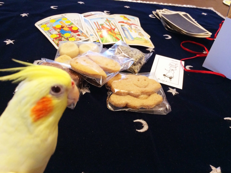 f:id:aiamdolly:20170708155954j:image:w500