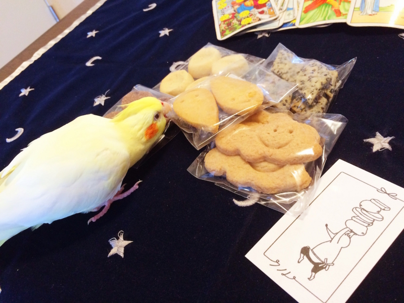 f:id:aiamdolly:20170708160021j:image:w500