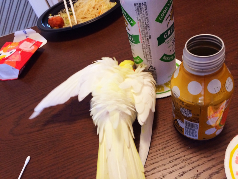 f:id:aiamdolly:20170718094919j:image:w500