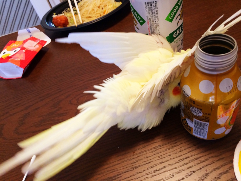 f:id:aiamdolly:20170718094922j:image:w500