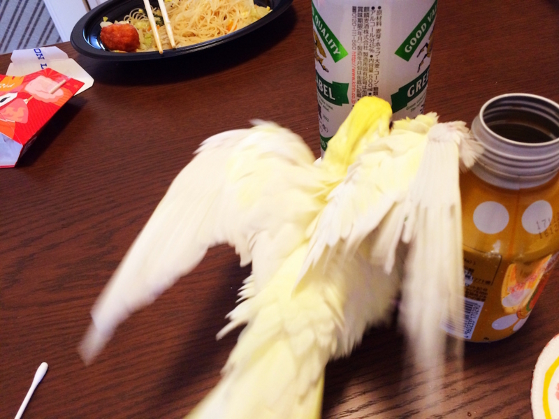 f:id:aiamdolly:20170718094924j:image:w500