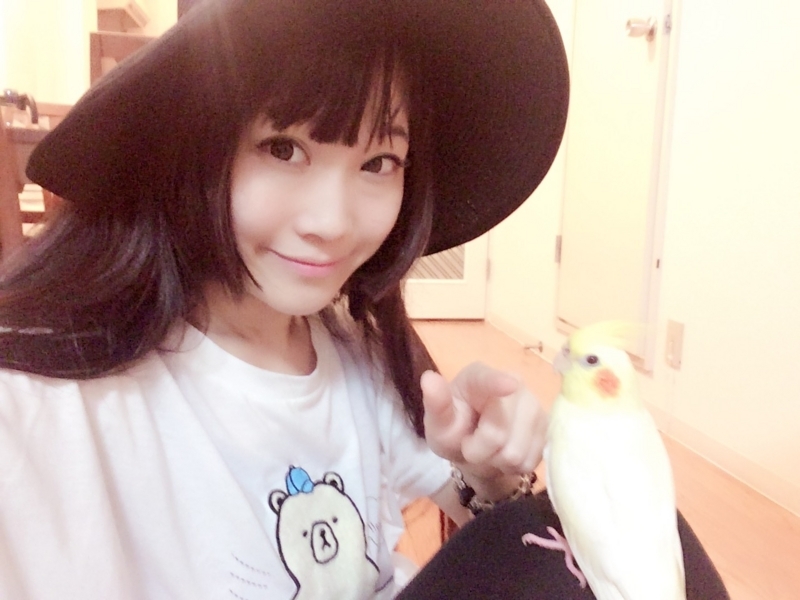 f:id:aiamdolly:20170723135818j:image:w360