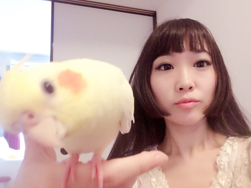 f:id:aiamdolly:20170728110325j:image:w360