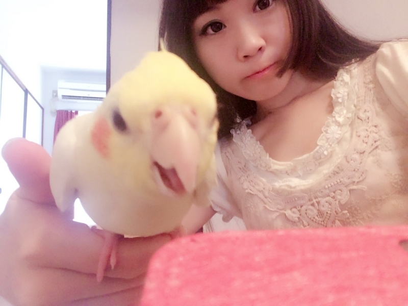 f:id:aiamdolly:20170728110329j:image:w360