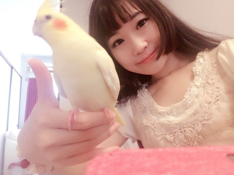 f:id:aiamdolly:20170728110335j:image:w360