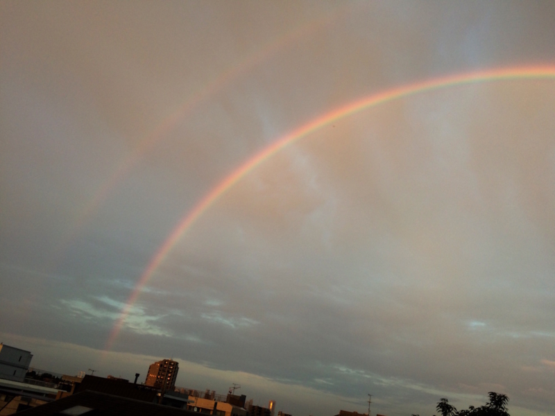 f:id:aiamdolly:20170808183349j:image:w500