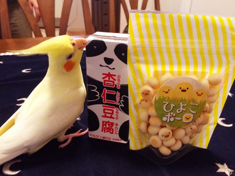 f:id:aiamdolly:20170811160115j:image:w500