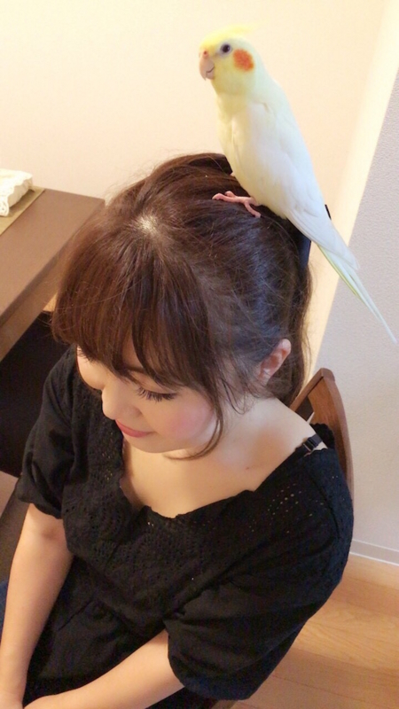 f:id:aiamdolly:20170901190630j:image:w360 f:id:aiamdolly:20170901190630j:image:w360