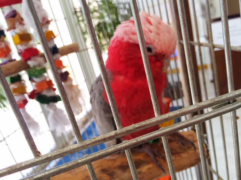 f:id:aiamdolly:20170919140139j:image:w500 f:id:aiamdolly:20170919140139j:image:w500