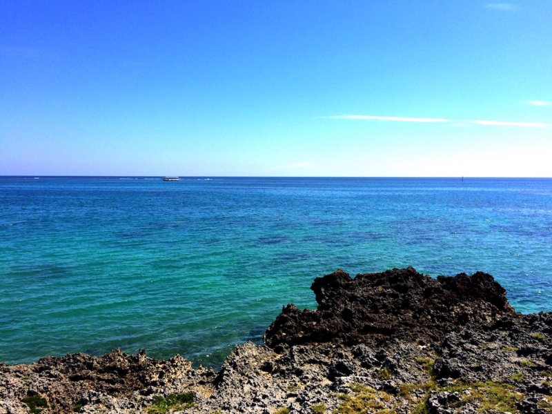 f:id:aiamdolly:20170919142028j:image:w500 f:id:aiamdolly:20170919142028j:image:w500