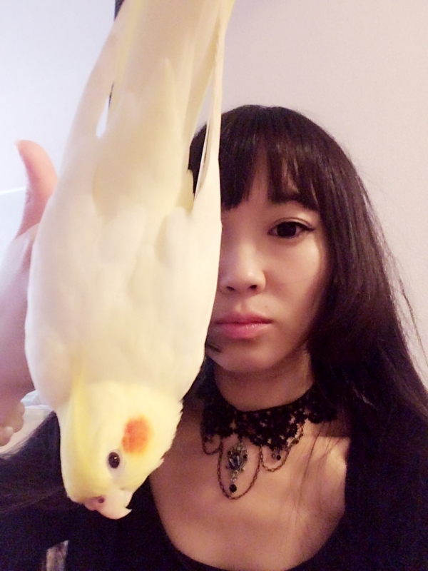 f:id:aiamdolly:20170927004539j:image:w300