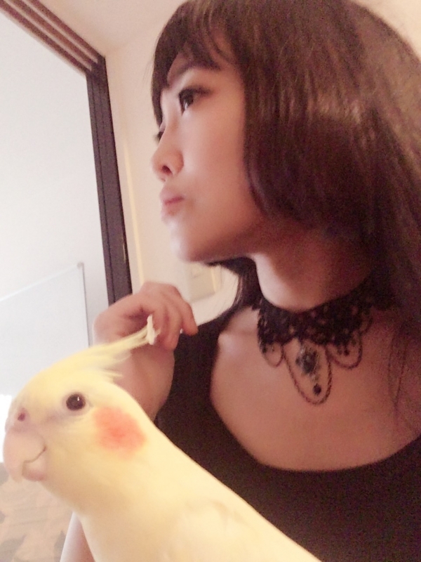 f:id:aiamdolly:20170927004543j:image:w300