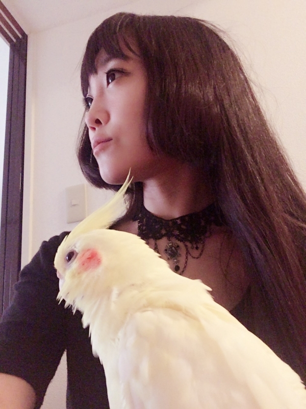 f:id:aiamdolly:20170927004547j:image:w300