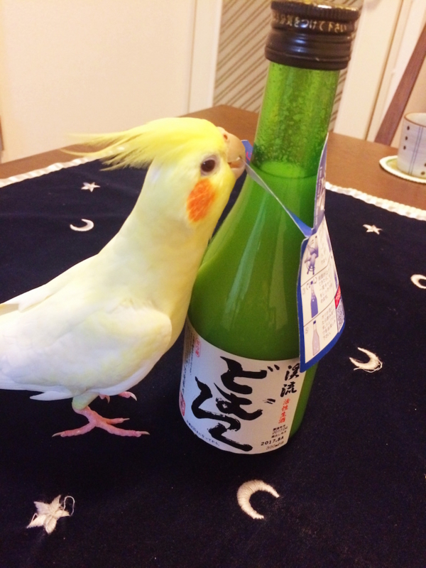 f:id:aiamdolly:20171014181403j:image:w360