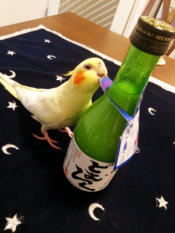 f:id:aiamdolly:20171014181519j:image:w360