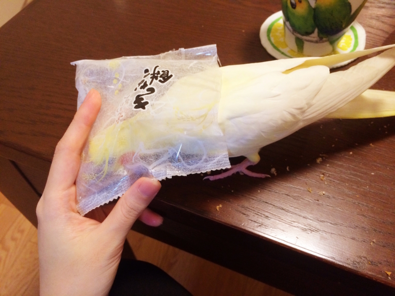 f:id:aiamdolly:20171022203530j:image:w500