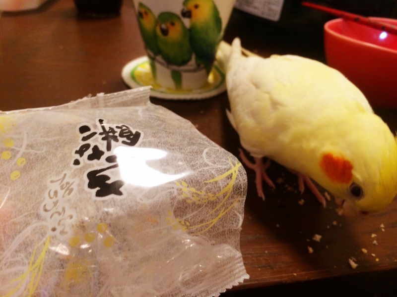 f:id:aiamdolly:20171022203543j:image:w500