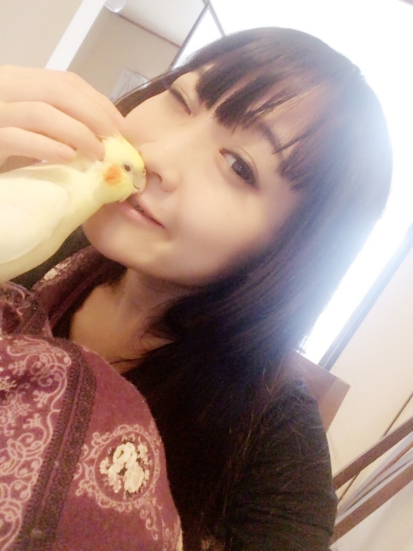 f:id:aiamdolly:20171104175421j:image:w300