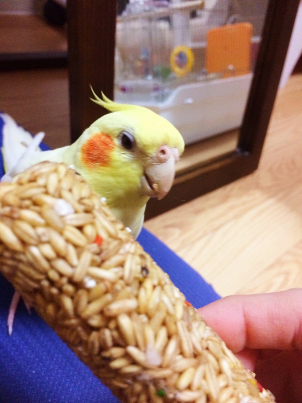 f:id:aiamdolly:20180108172246j:image:w360