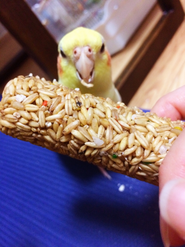 f:id:aiamdolly:20180108172310j:image:w360