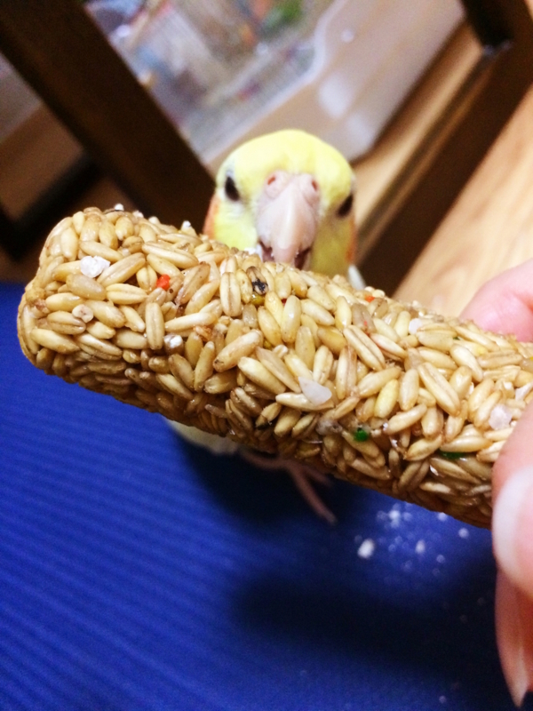 f:id:aiamdolly:20180108172315j:image:w360