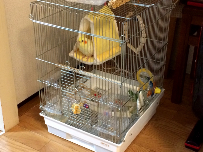 f:id:aiamdolly:20180109183945j:image:w500