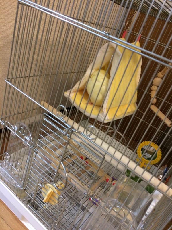 f:id:aiamdolly:20180109191103j:image:w360