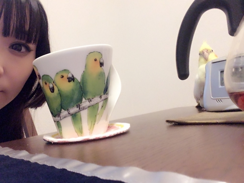 f:id:aiamdolly:20180113212544j:image:w500