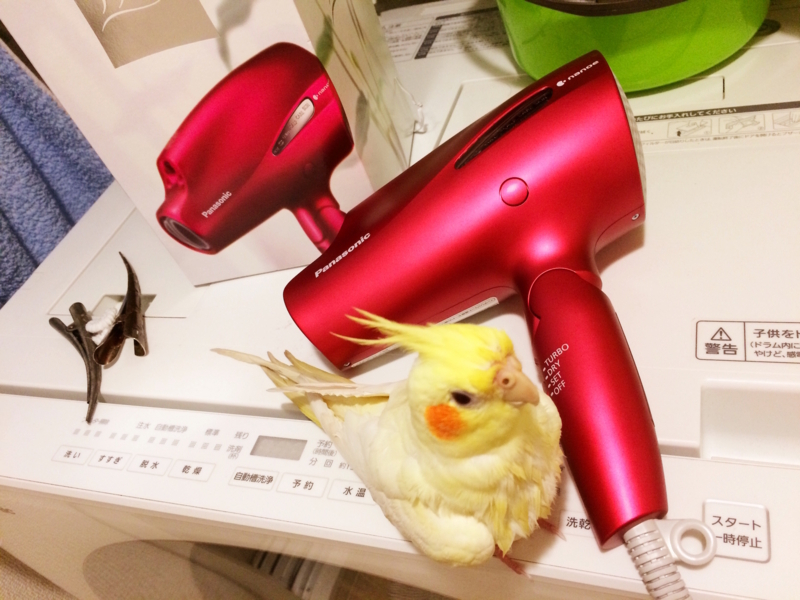 f:id:aiamdolly:20180117211544j:image:w500