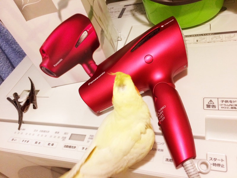 f:id:aiamdolly:20180117211547j:image:w500