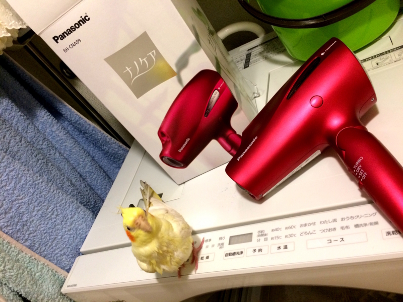 f:id:aiamdolly:20180117211558j:image:w500