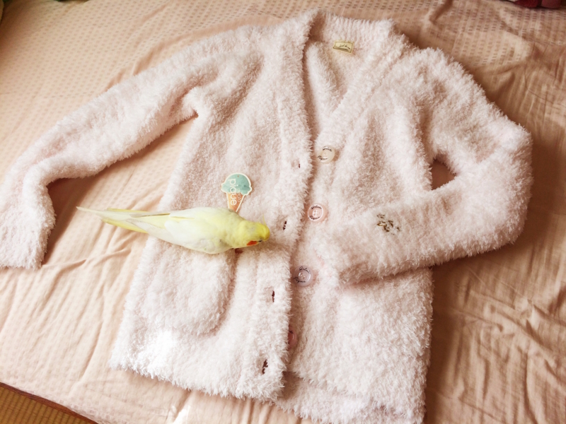 f:id:aiamdolly:20180125143337j:image:w500 f:id:aiamdolly:20180125143337j:image:w500