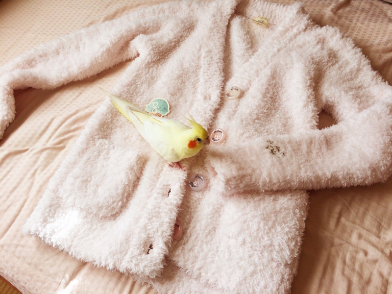 f:id:aiamdolly:20180125143344j:image:w500 f:id:aiamdolly:20180125143344j:image:w500