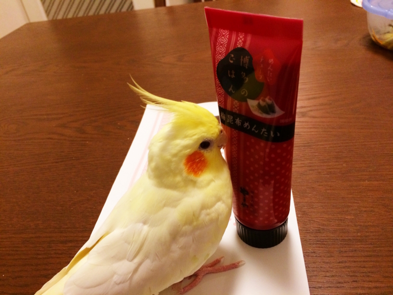 f:id:aiamdolly:20180203203126j:image:w500