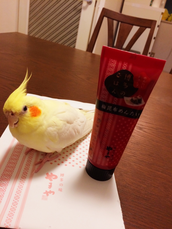 f:id:aiamdolly:20180203203232j:image:w360