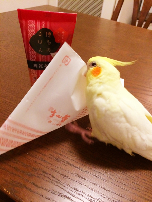 f:id:aiamdolly:20180203203351j:image:w360