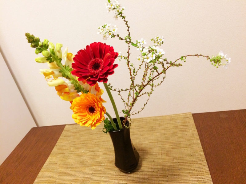 f:id:aiamdolly:20180207174138j:image:w500