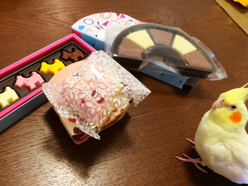 f:id:aiamdolly:20180217132132j:image:w500