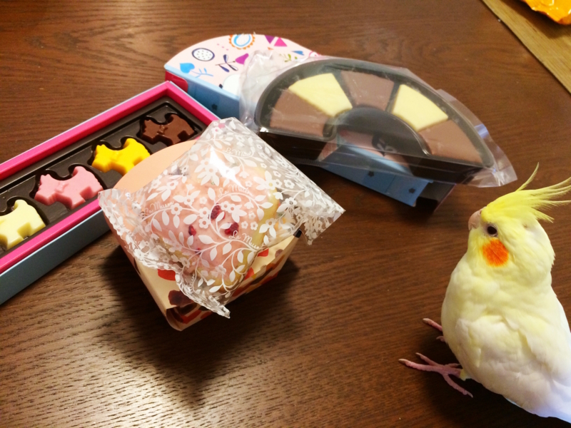 f:id:aiamdolly:20180217132134j:image:w500