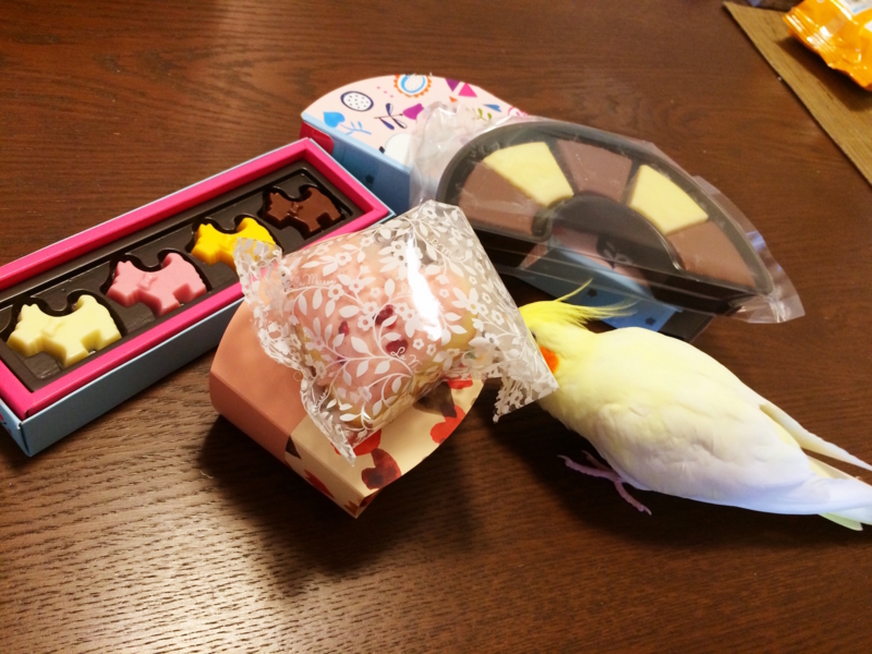 f:id:aiamdolly:20180217132224j:image:w500