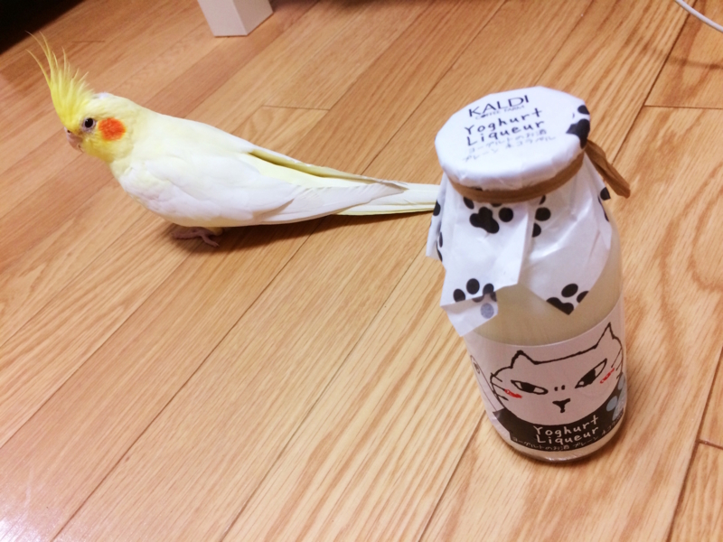 f:id:aiamdolly:20180223215223j:image:w500