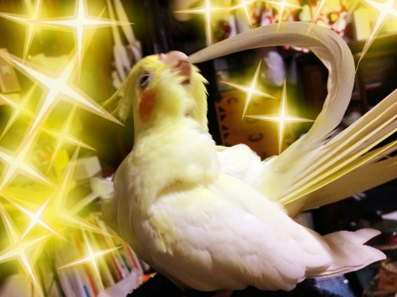 f:id:aiamdolly:20180331141457j:image:w500