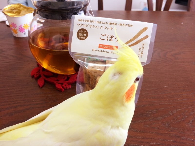 f:id:aiamdolly:20180404094126j:image:w500