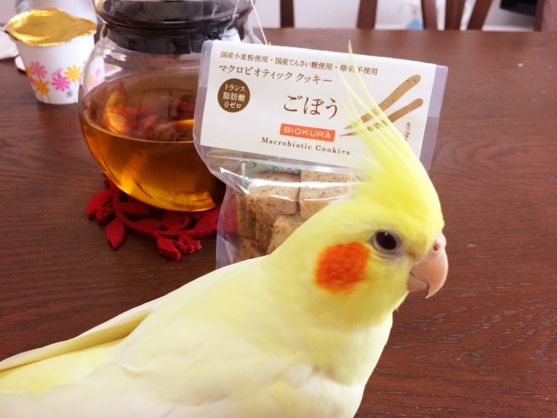 f:id:aiamdolly:20180404094128j:image:w500