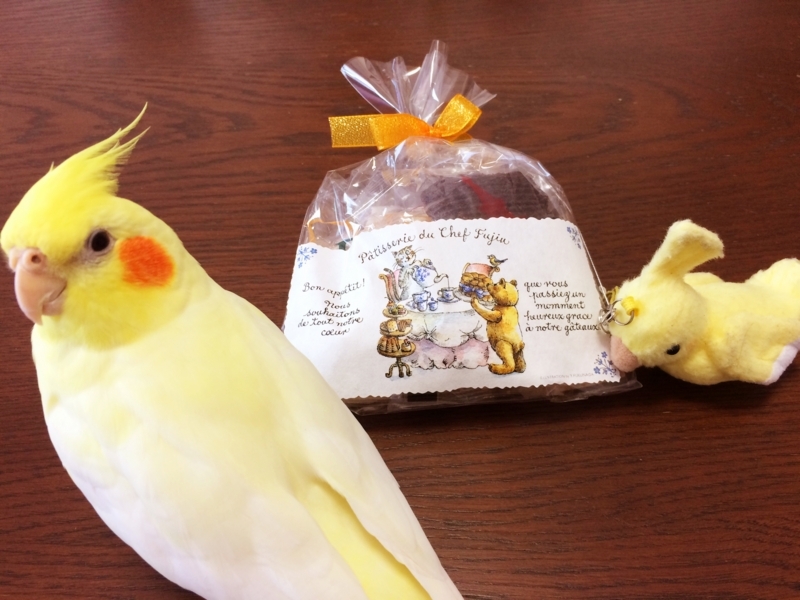 f:id:aiamdolly:20180408084652j:image:w500