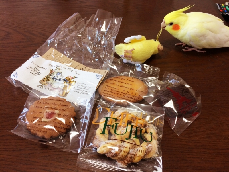 f:id:aiamdolly:20180408084817j:image:w500