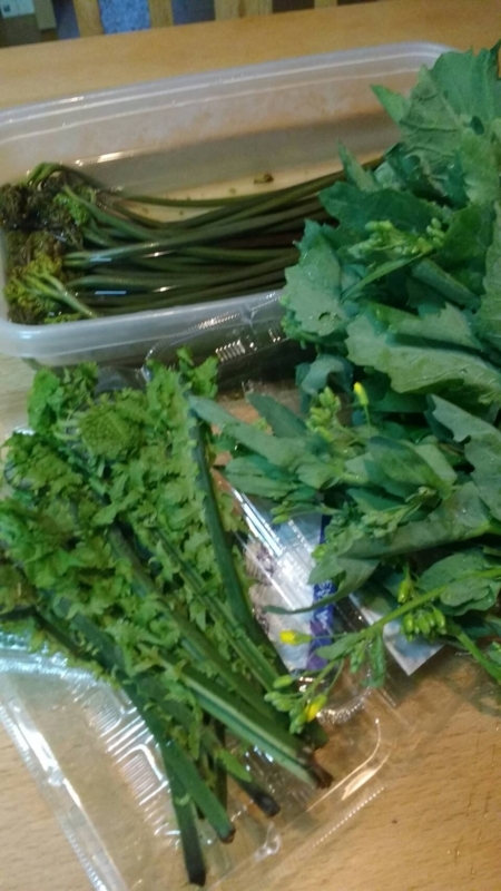 f:id:aiamdolly:20180523142437j:image:w360