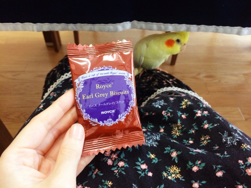 f:id:aiamdolly:20180524165628j:image:w500