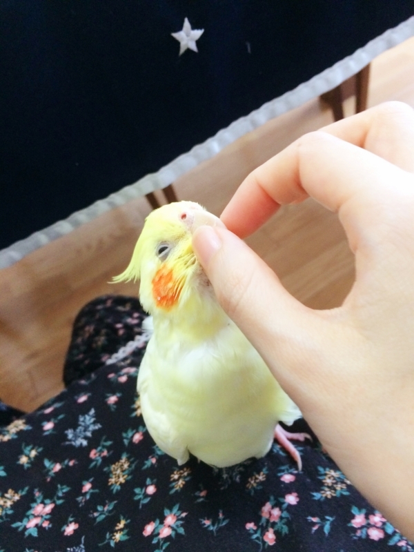 f:id:aiamdolly:20180524170608j:image:w360