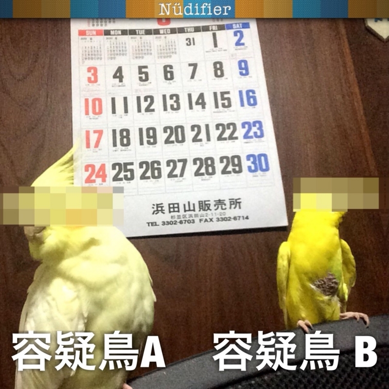 f:id:aiamdolly:20180609000137j:image:w360